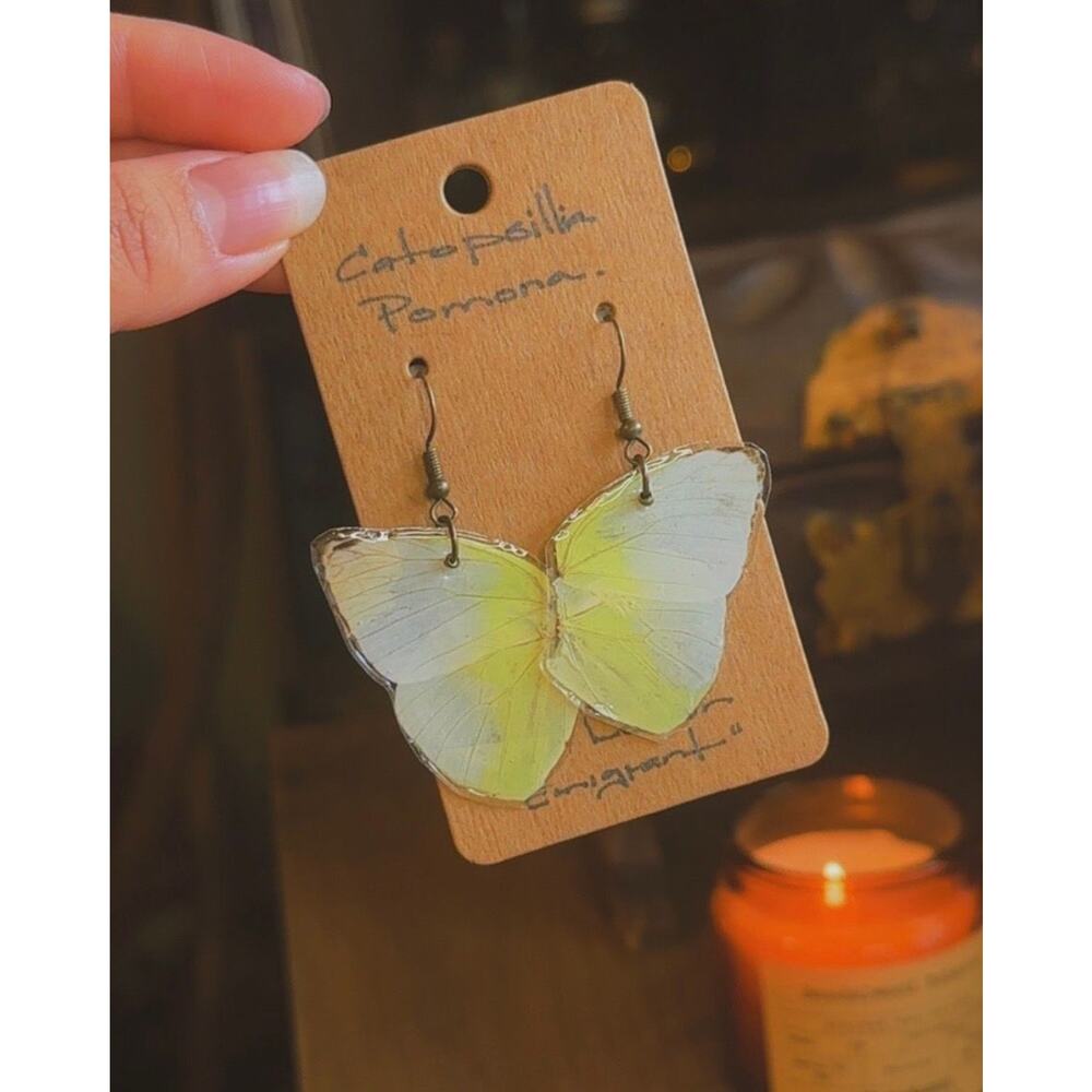 Catopsillia Pomona butterfly earrings! ཐི༏ཋྀ orrr "The Lemon Emigrant"!